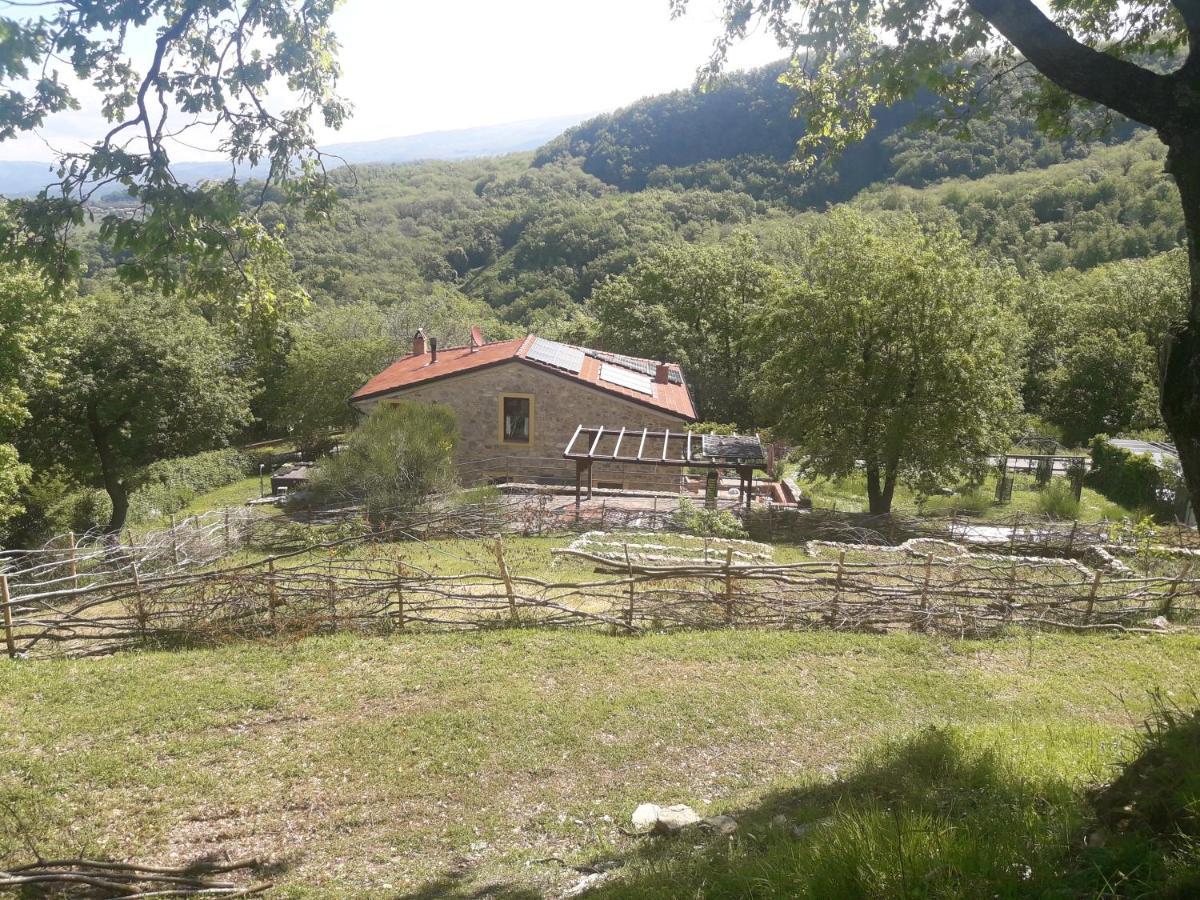B&B Harem Arcidosso Esterno foto